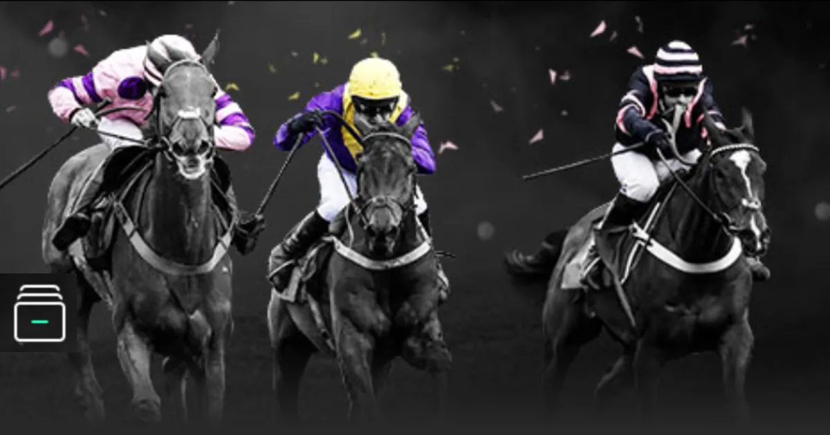 馬賽足球隊,簡述,OD体育,OD体育,OD体育官网,中国OD体育,OD体育入口